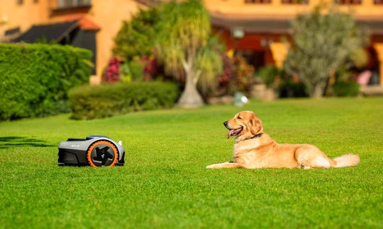 Navimow i105 Robotic Lawn Mower｜0.125 acre